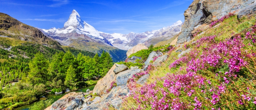 untitled design 2025 11 05t084307.866