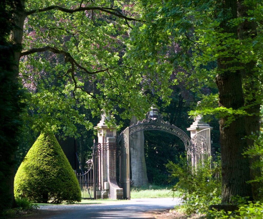 untitled design (93)